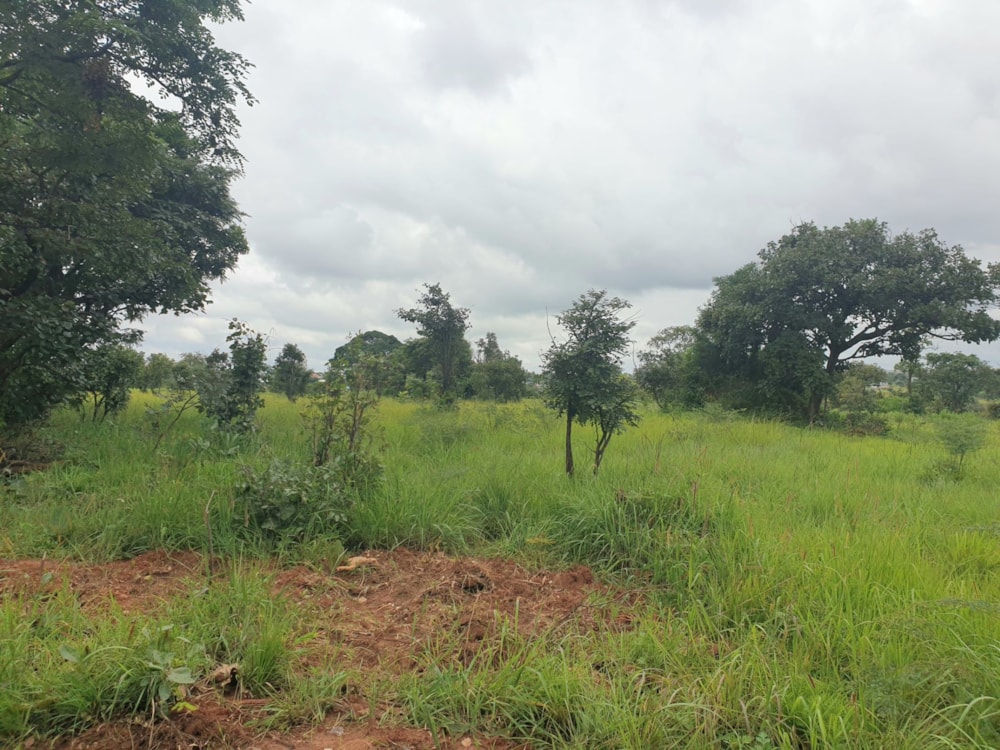 House for sale in Shimabala, Lusaka Province, Zambia - 3ZA1599388