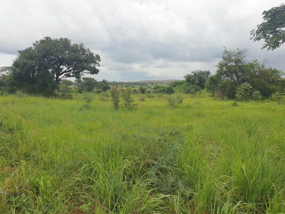 House for sale in Shimabala, Lusaka Province, Zambia - 3ZA1599388