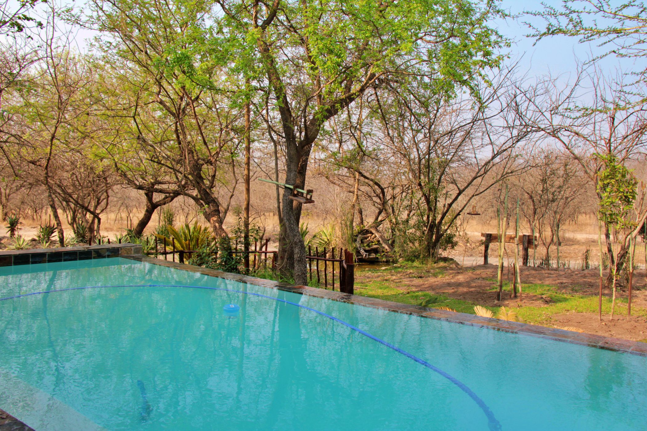 House to rent in Marloth Park - 1NK1664119