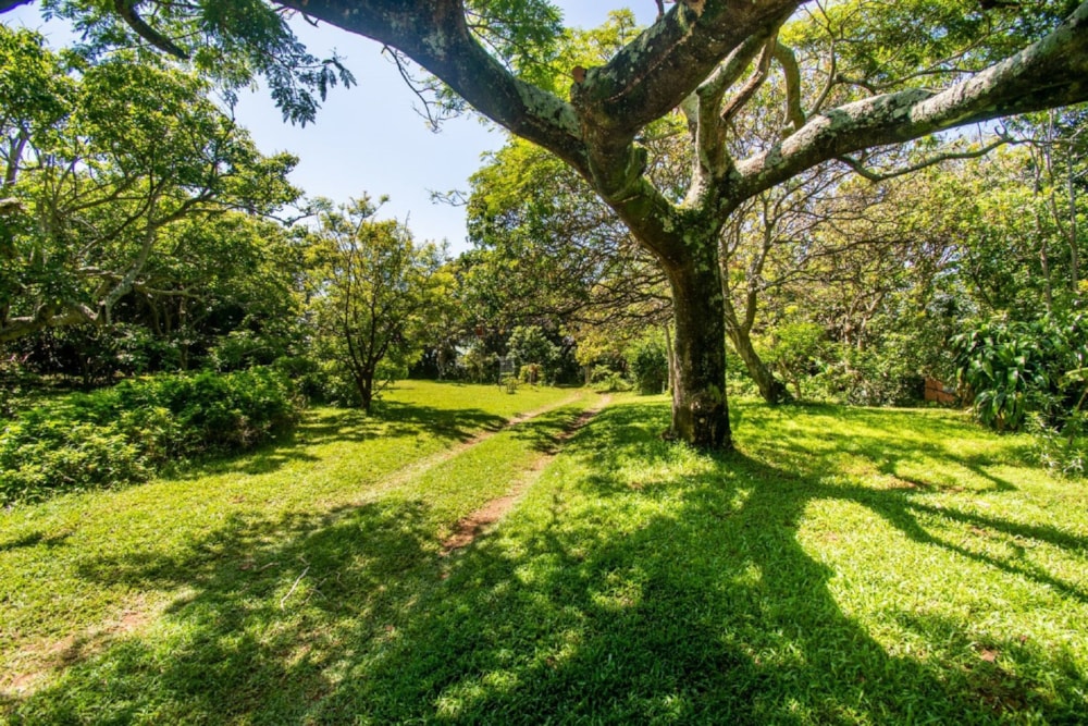 House for sale in Elysium - 1SI1653654