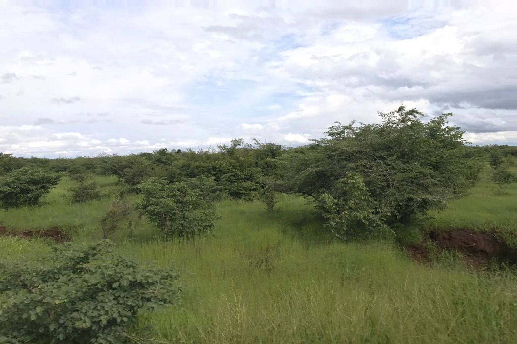 Vacant land for sale in Lusaka West, Zambia - 3ZA1600399