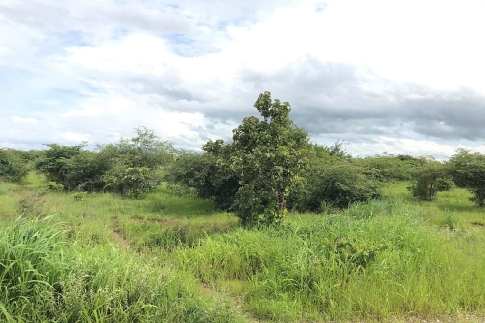 Vacant land for sale in Lusaka West, Zambia - 3ZA1600399 Vacant land for sale in Lusaka West, Zambia - 3ZA1600399