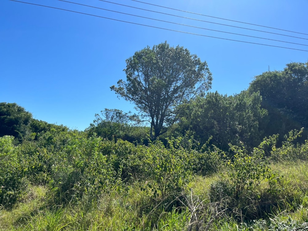 Residential vacant land for sale in Bathurst - 1PF1600370 Residential vacant land for sale in Bathurst - 1PF1600370