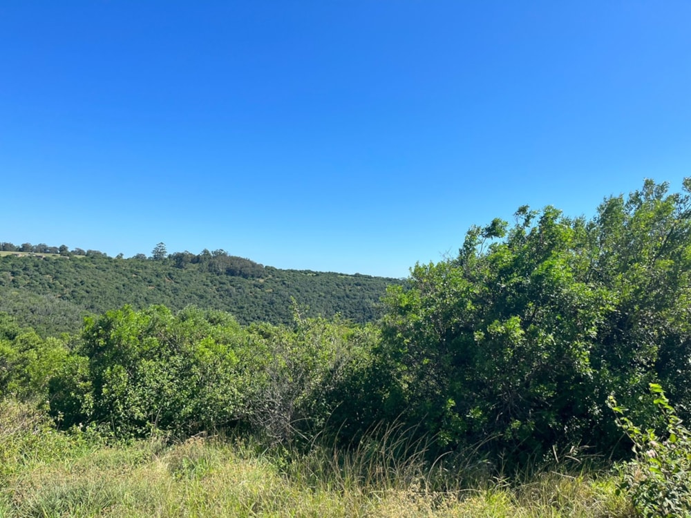 Residential vacant land for sale in Bathurst - 1PF1600370 Residential vacant land for sale in Bathurst - 1PF1600370