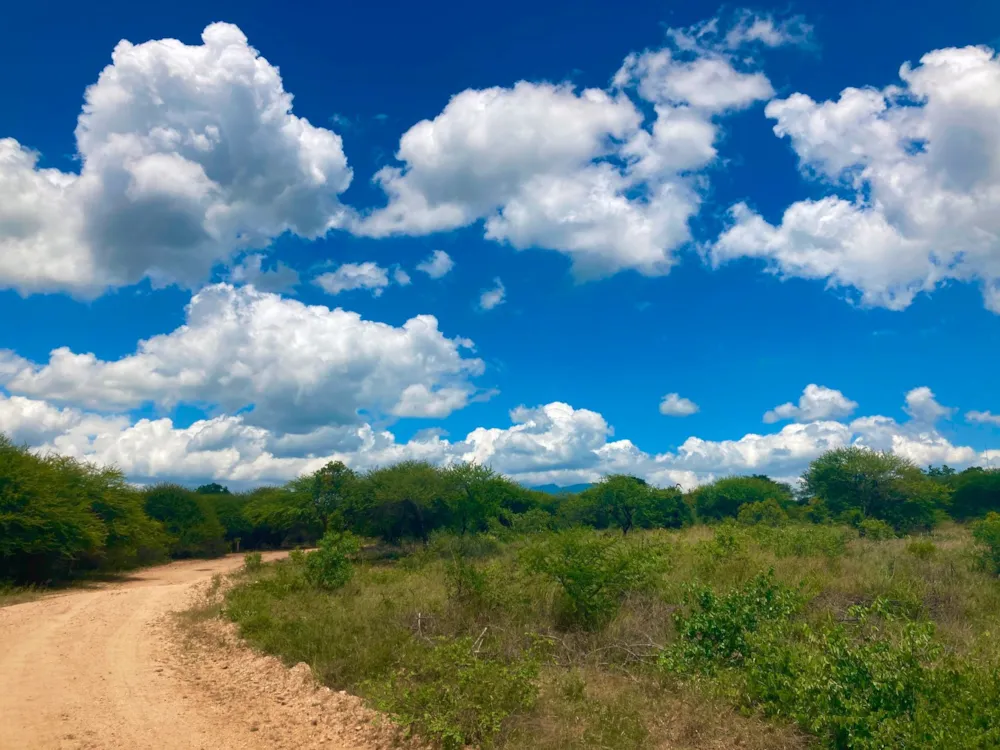 Vacant land for sale in Moditlo Nature Reserve - 1HS1639381