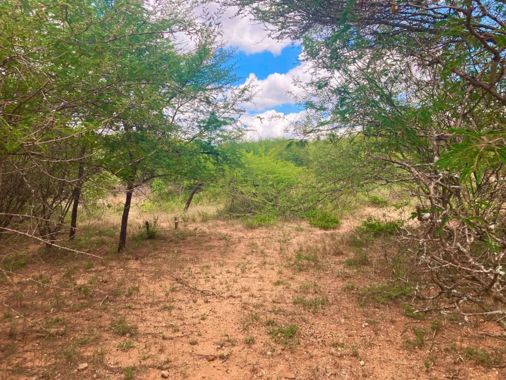 Vacant land for sale in Moditlo Nature Reserve - 1HS1639381