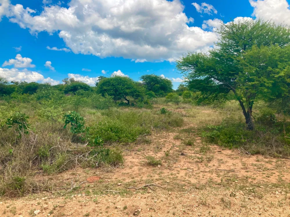 Vacant land for sale in Moditlo Nature Reserve - 1HS1639381