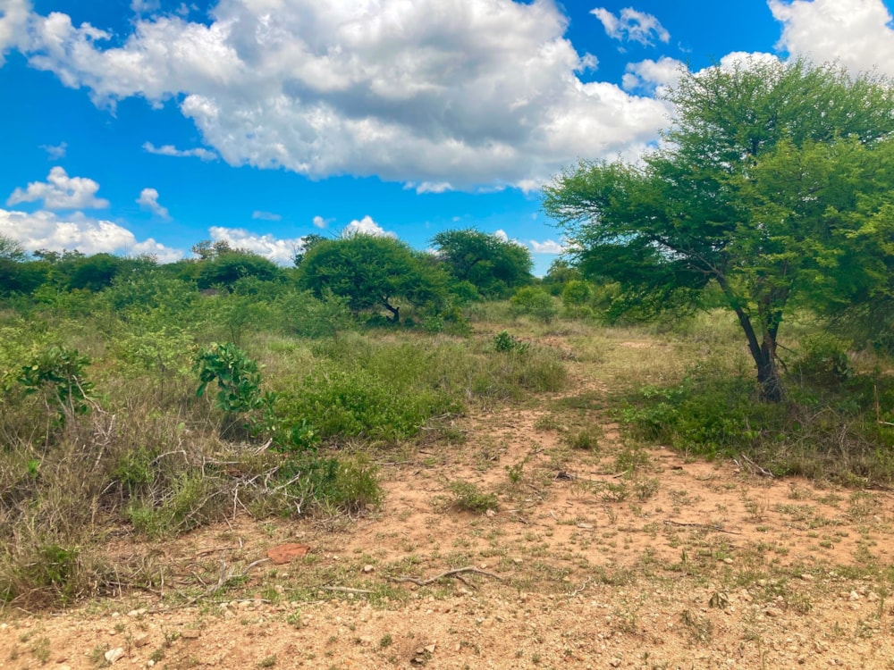 Vacant land for sale in Moditlo Nature Reserve - 1HS1639381 Vacant land for sale in Moditlo Nature Reserve - 1HS1639381