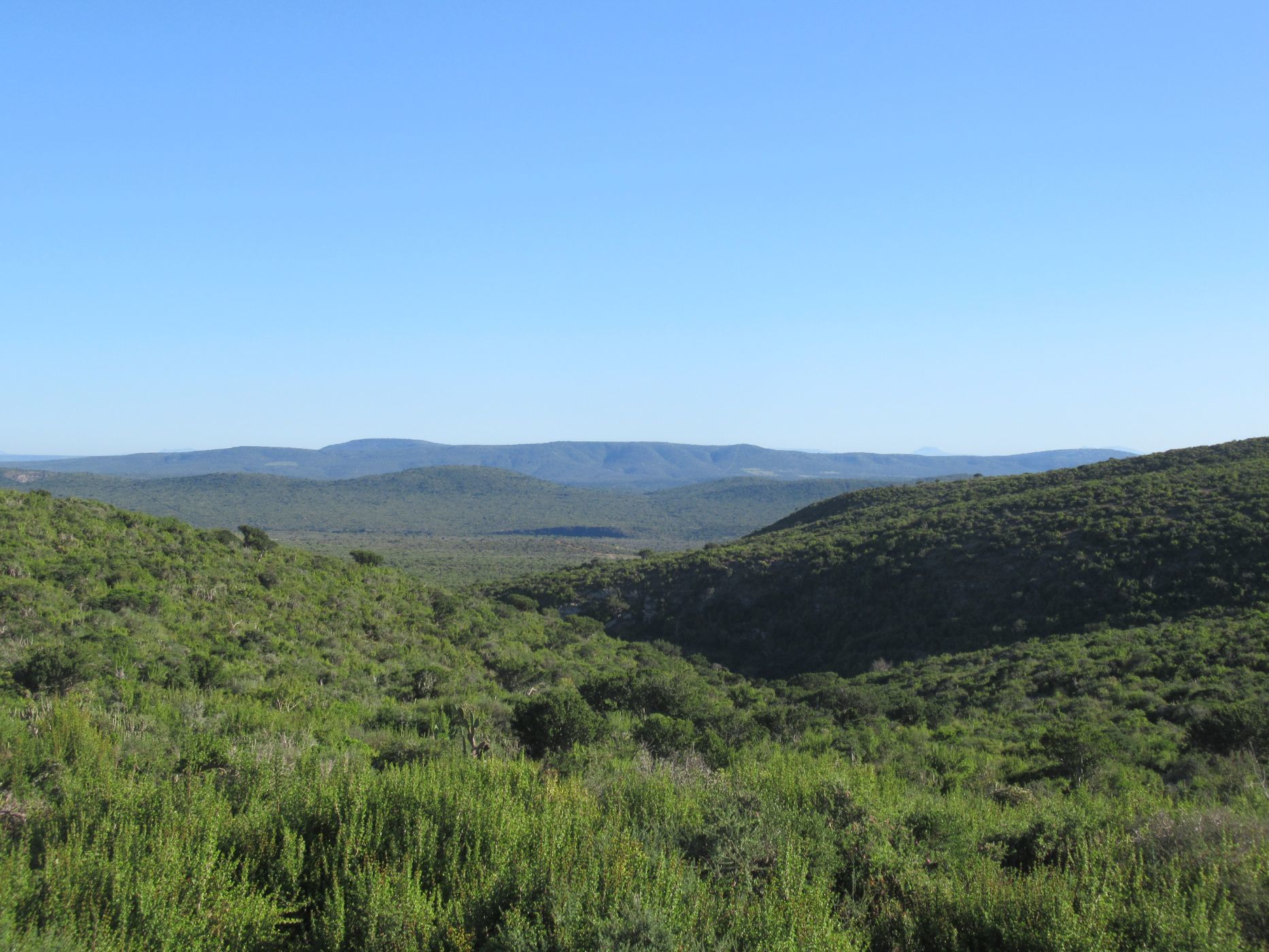 Game farm for sale in Grahamstown (Makhanda) - 1GC1600916