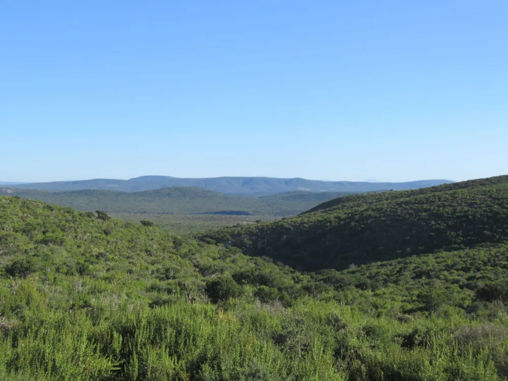 Game farm for sale in Grahamstown (Makhanda) - 1GC1600916