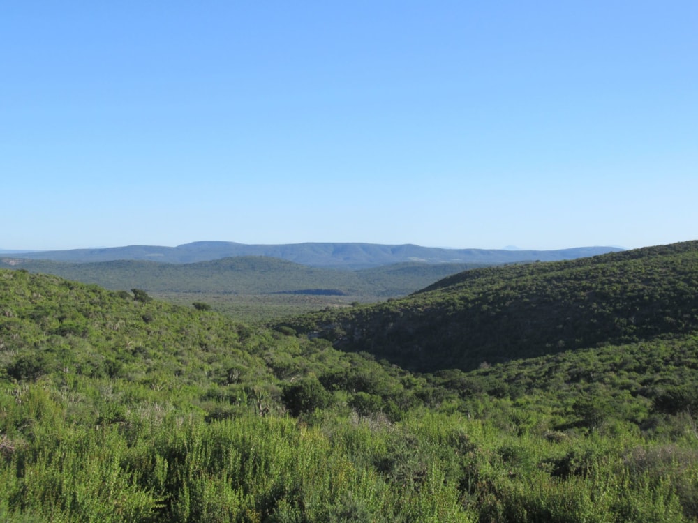 Game farm for sale in Grahamstown (Makhanda) - 1GC1600916