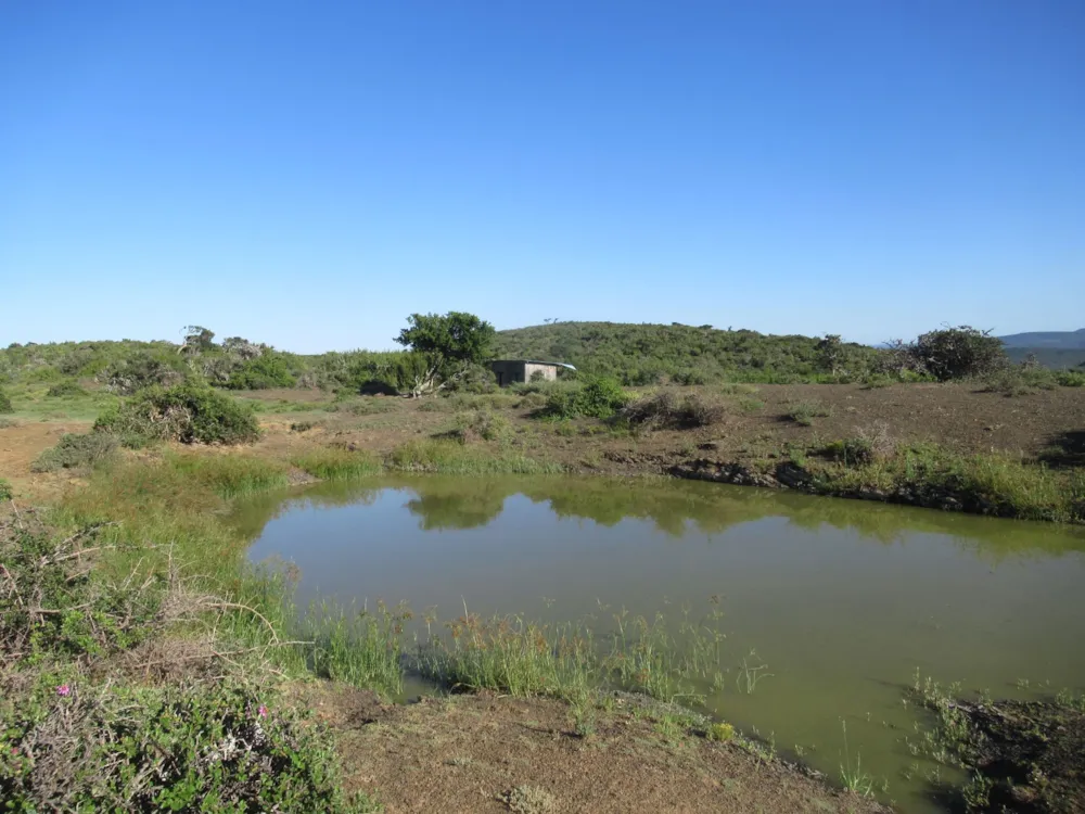 Game farm for sale in Grahamstown (Makhanda) - 1GC1600916