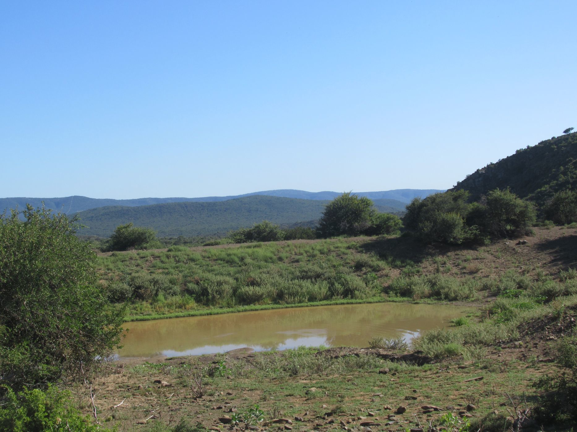 Game farm for sale in Grahamstown (Makhanda) - 1GC1600916