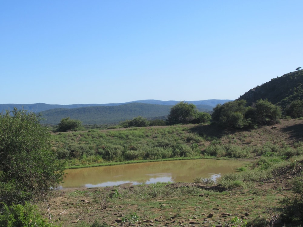 Game farm for sale in Grahamstown (Makhanda) - 1GC1600916