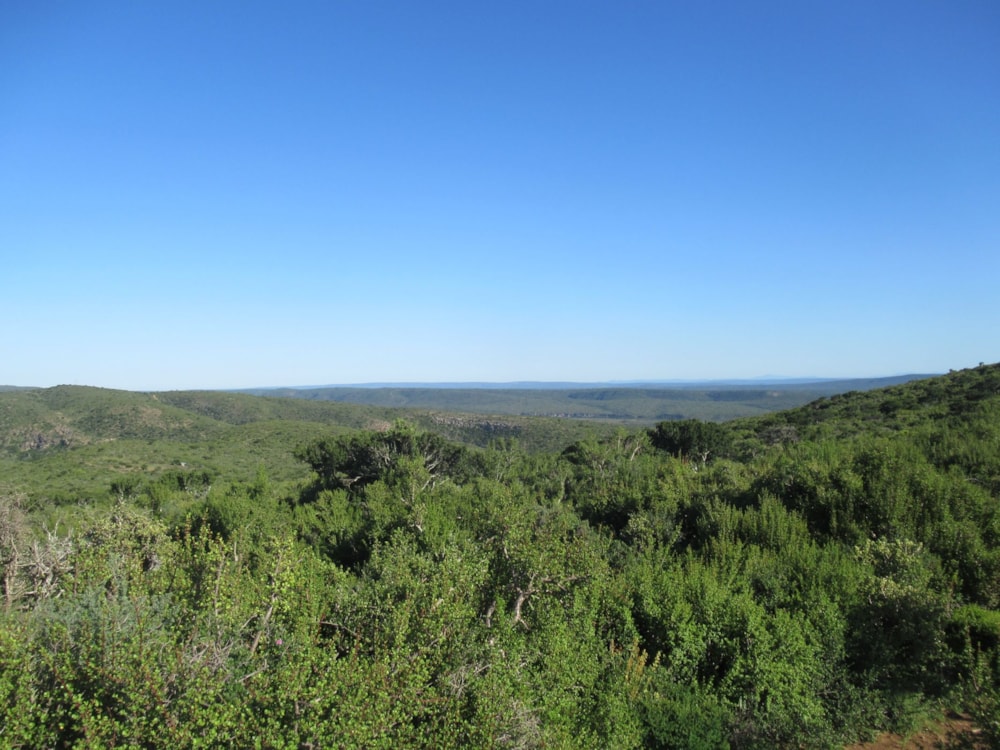 Game farm for sale in Grahamstown (Makhanda) - 1GC1600916