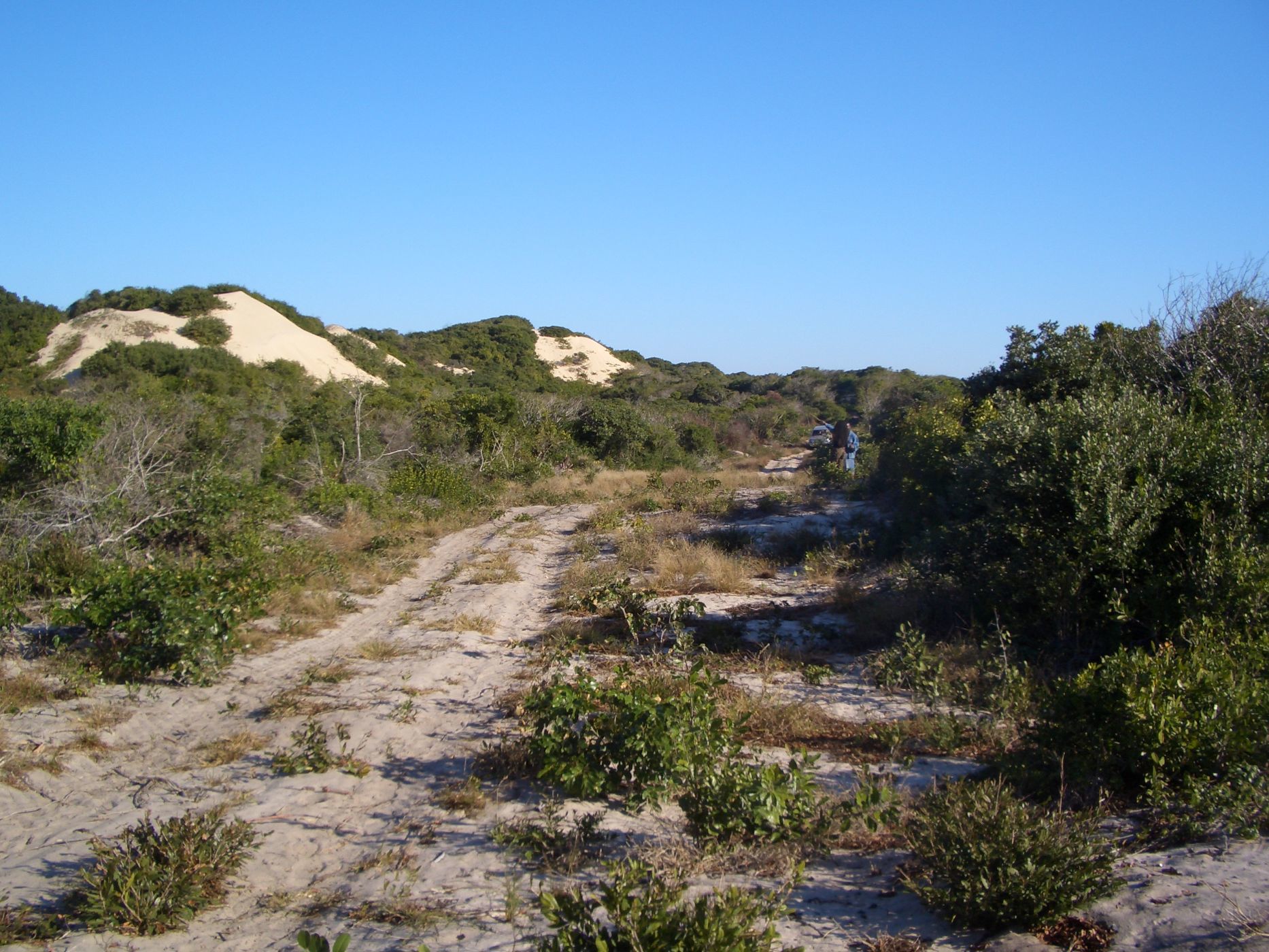 Vacant land for investment in Praia de Macaneta, Mozambique - 3MQ1601175