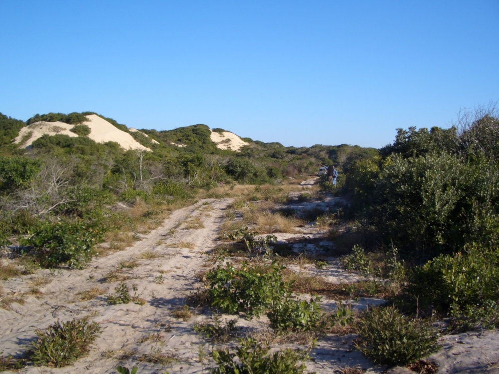 Vacant land for investment in Praia de Macaneta, Mozambique - 3MQ1601175 Vacant land for investment in Praia de Macaneta, Mozambique - 3MQ1601175