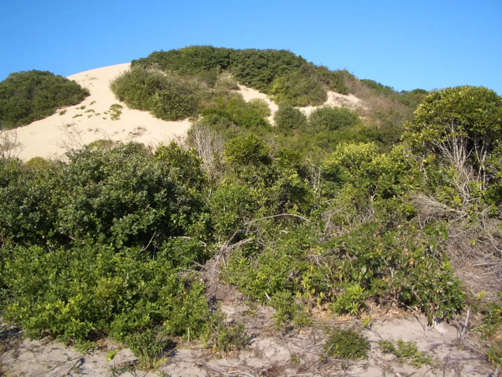 Vacant land for investment in Praia de Macaneta, Mozambique - 3MQ1601175