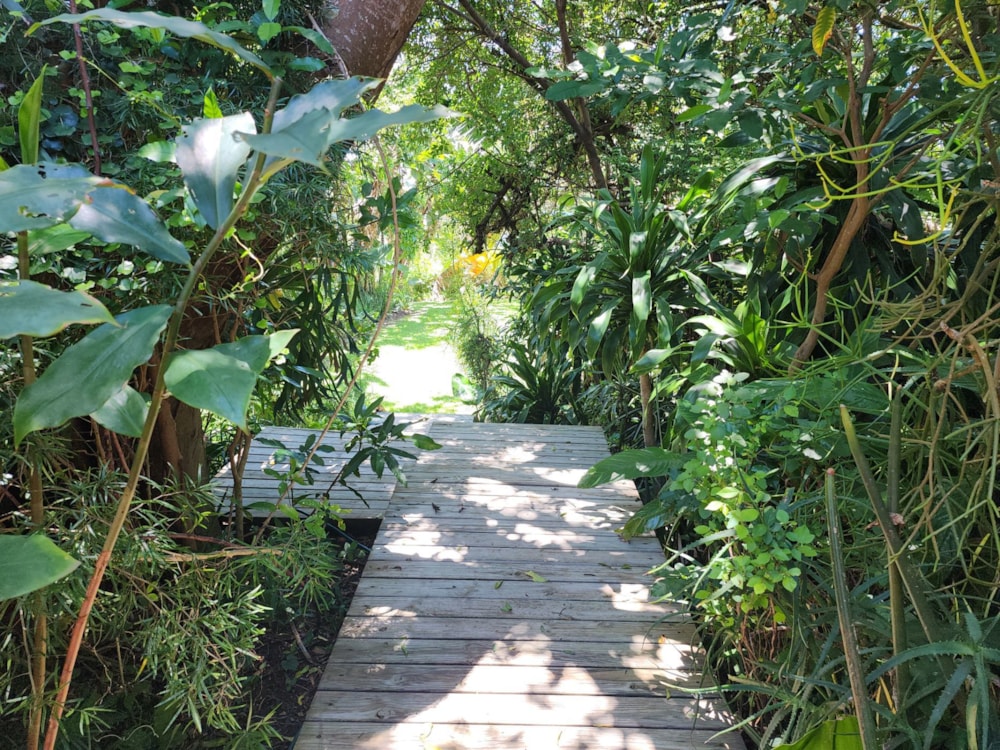 Golf estate house for sale in Pennington - 1SI1047744 Golf estate house for sale in Pennington - 1SI1047744