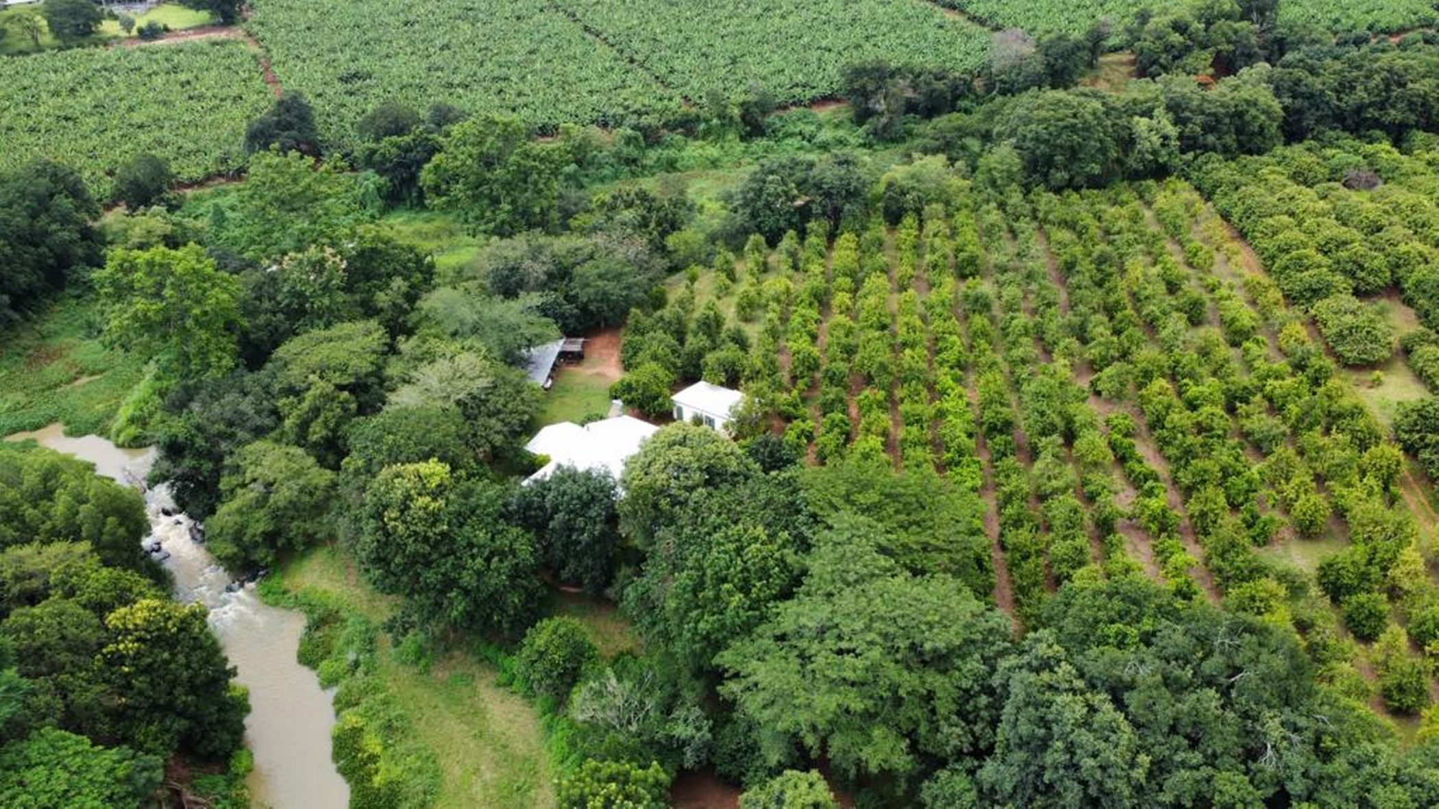 Smallholding for sale in Tzaneen, Limpopo Province - 1TA1658308
