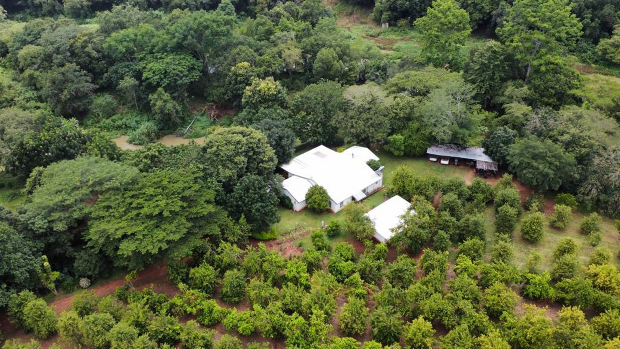Smallholding for sale in Tzaneen, Limpopo Province - 1TA1658308