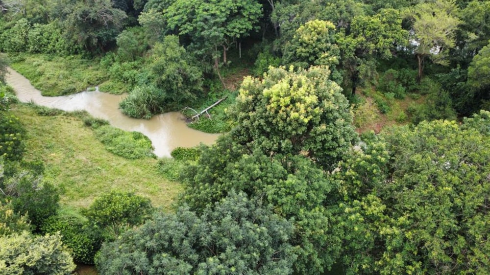 Smallholding for sale in Tzaneen, Limpopo Province - 1TA1658308