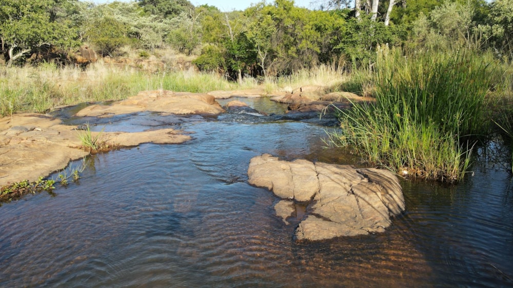 Mixed use farm for sale in Zeerust - 1RU1599733