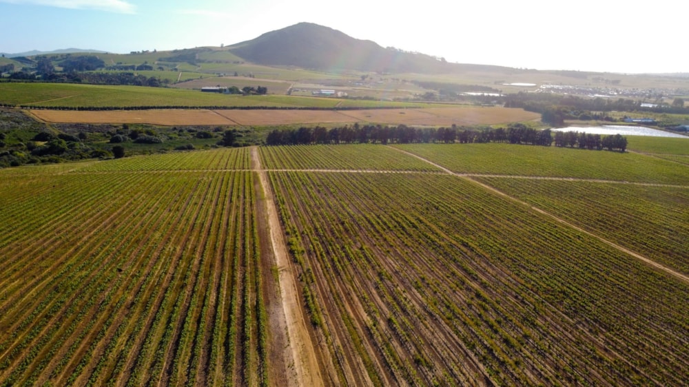 Residential vacant land for sale in Vini Fera at Anura - ST1709193 Residential vacant land for sale in Vini Fera at Anura - ST1709193