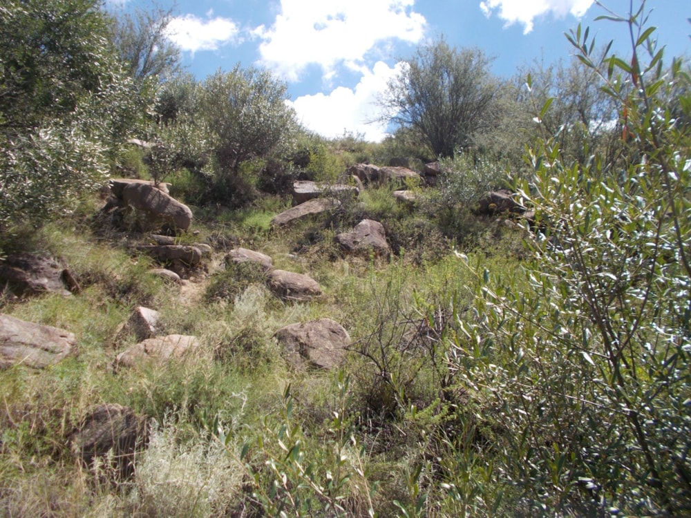 Vacant land for sale in Bethulie - 1KK1606934