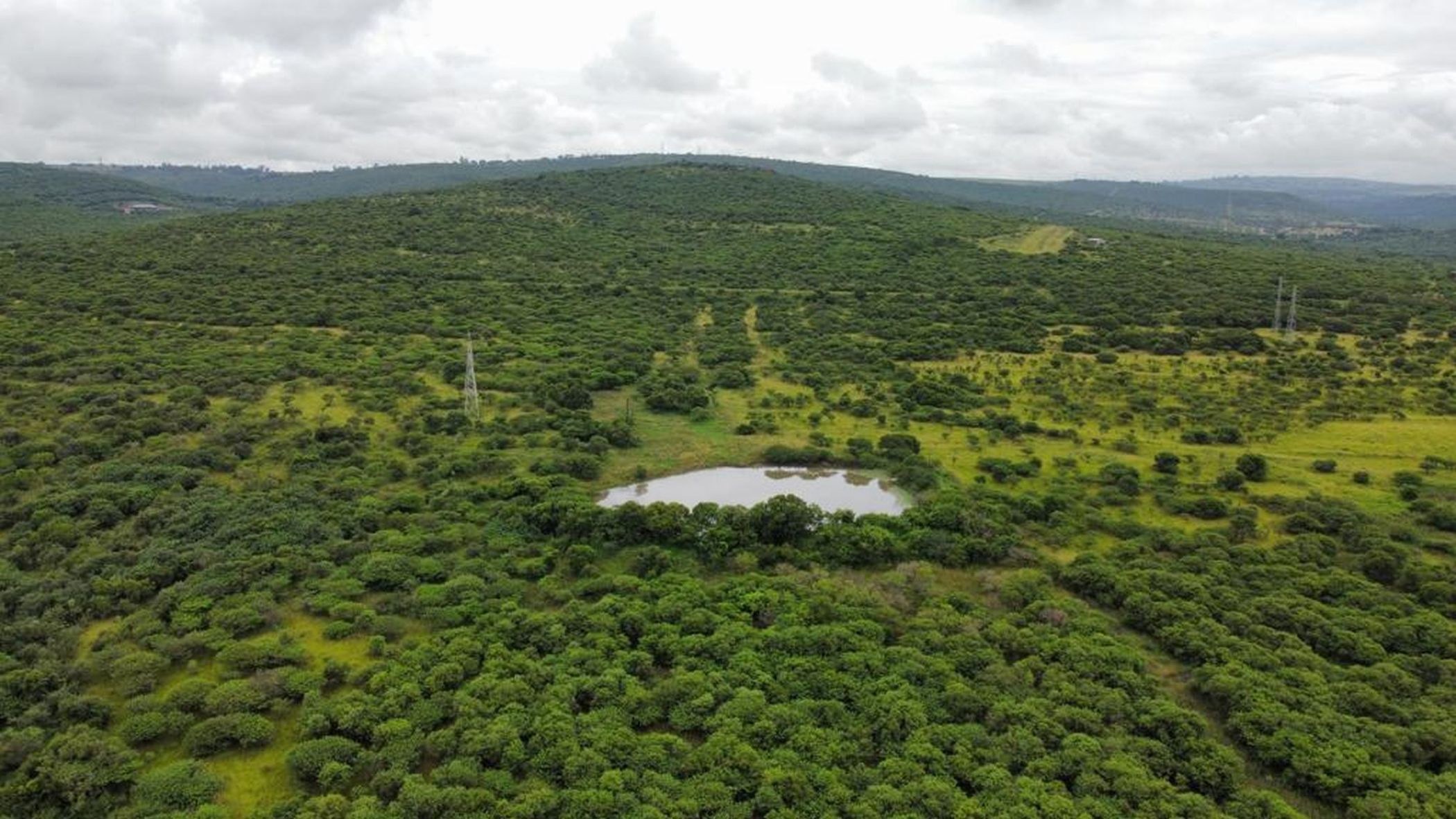 Farm vacant land for sale in Lynnfield Park  - 1PM1726755