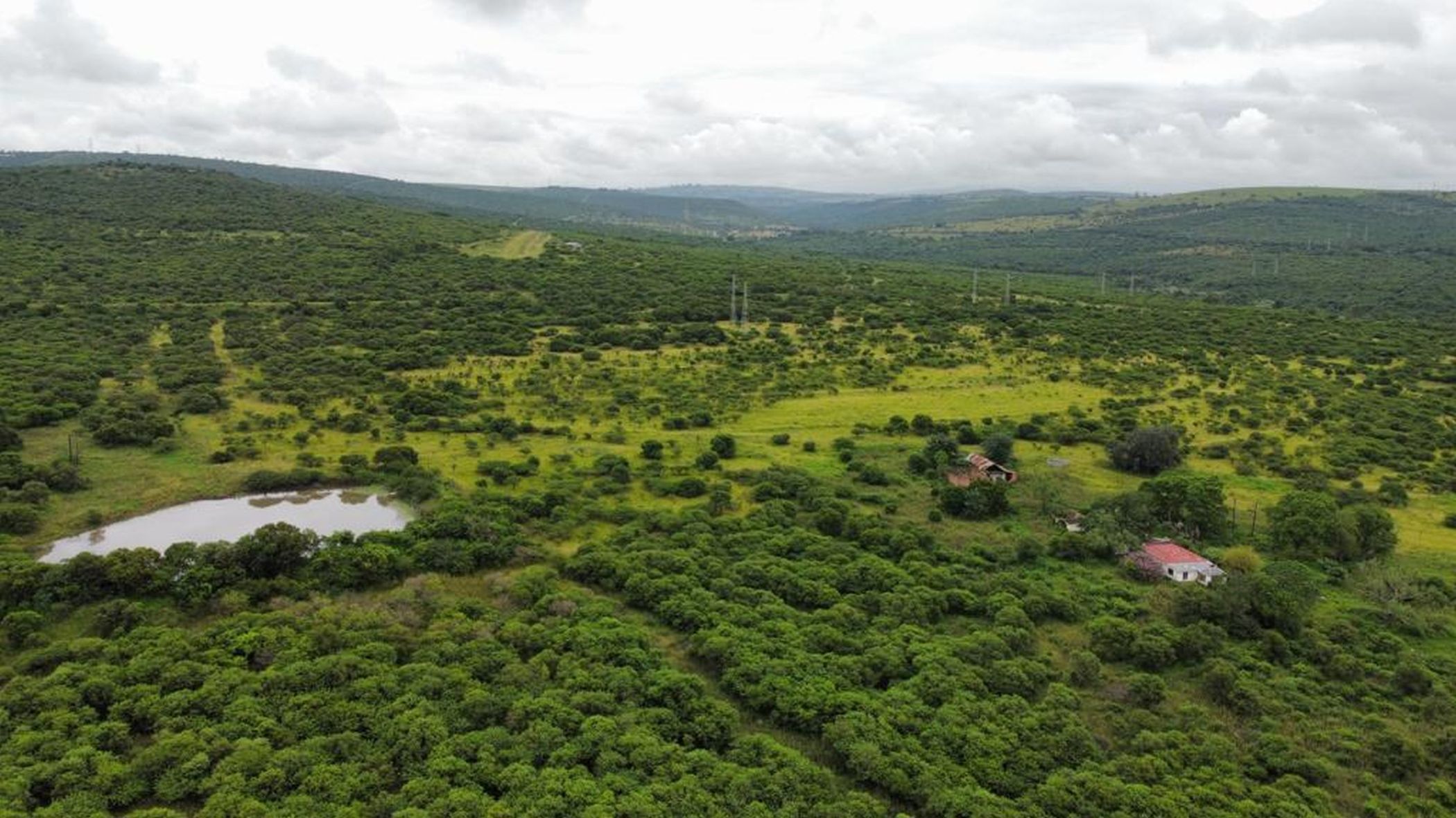 Farm vacant land for sale in Lynnfield Park - View 2