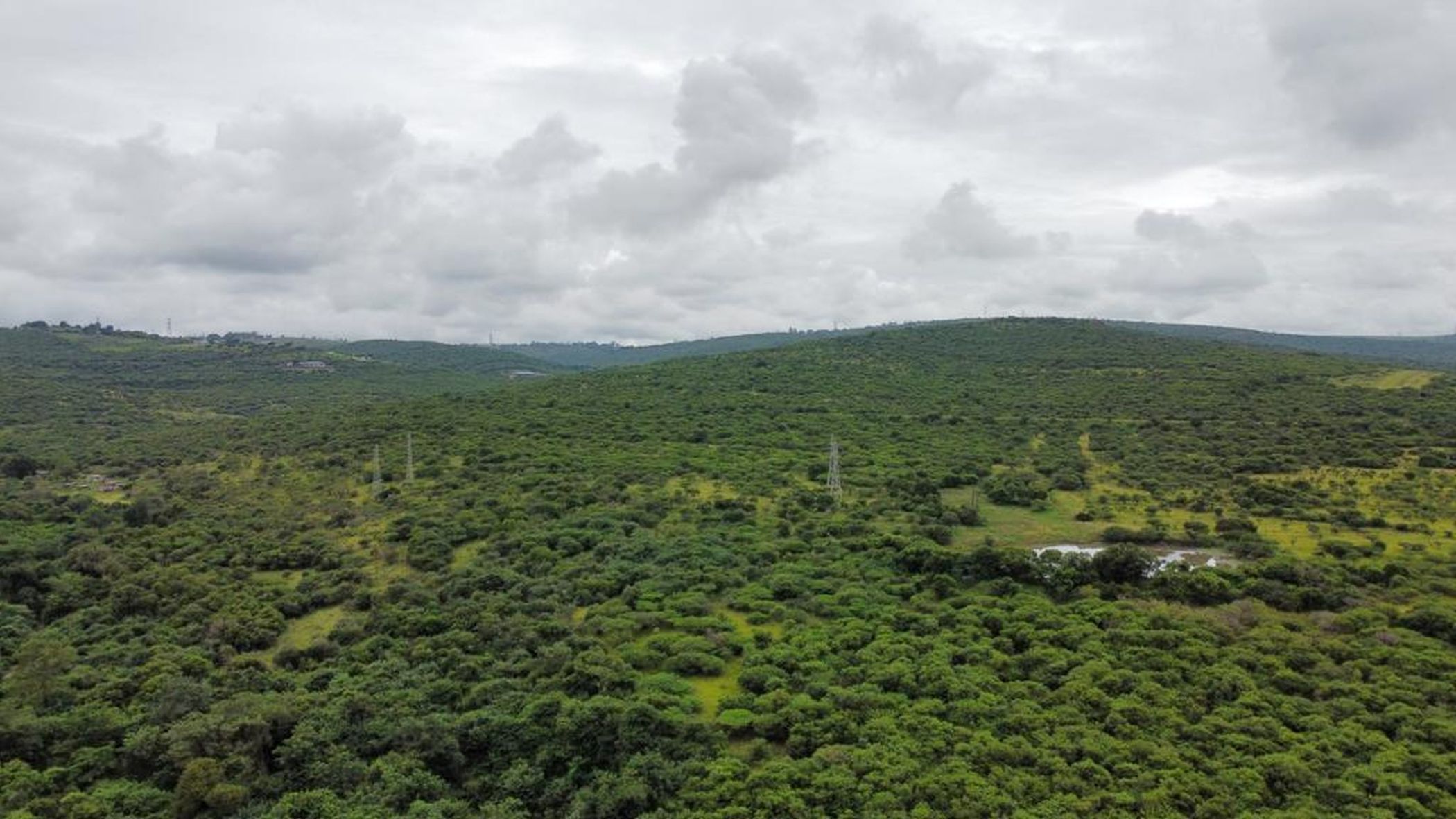 Farm vacant land for sale in Lynnfield Park - View 3