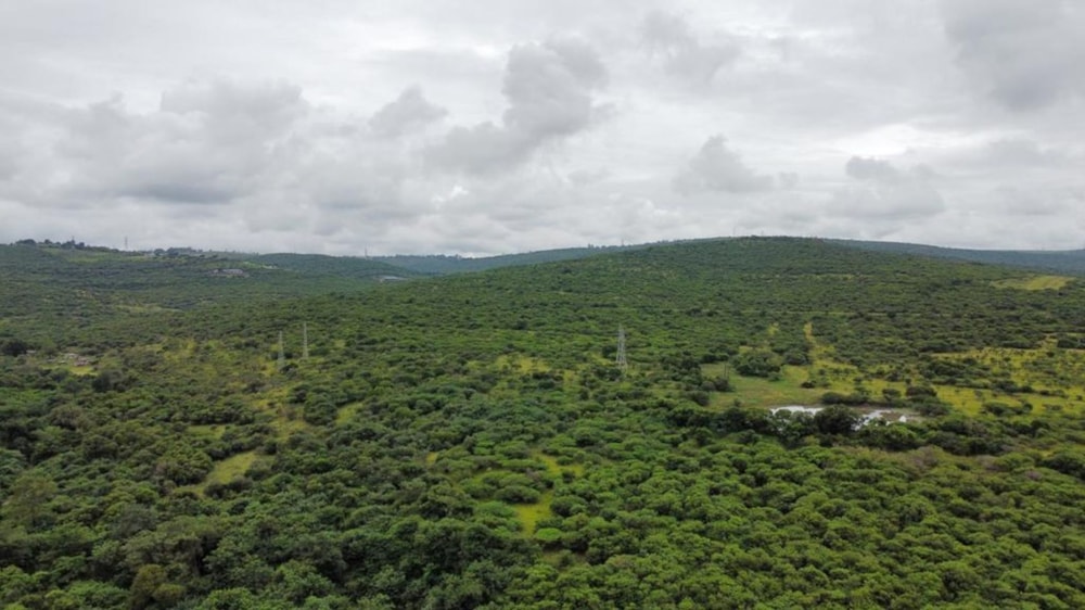 Farm vacant land for sale in Lynnfield Park  - 1PM1726755