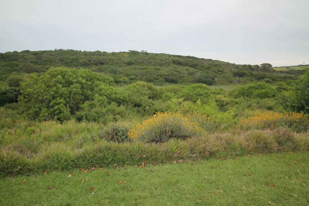 Residential vacant land for sale in Forest Downs - 1PF1602589