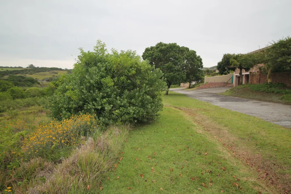 Residential vacant land for sale in Forest Downs - 1PF1602589