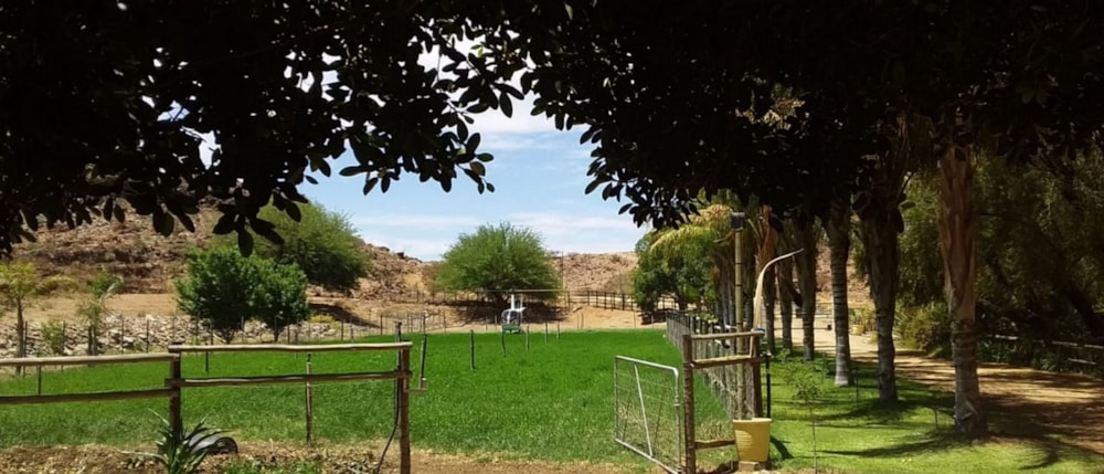 Fruit farm for sale in Keimoes - 1NA1600135 Fruit farm for sale in Keimoes - 1NA1600135