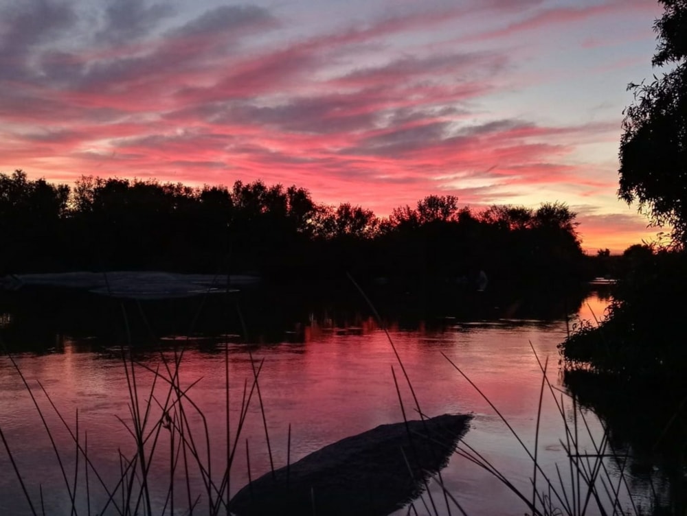 Fruit farm for sale in Keimoes - 1NA1600135 Fruit farm for sale in Keimoes - 1NA1600135