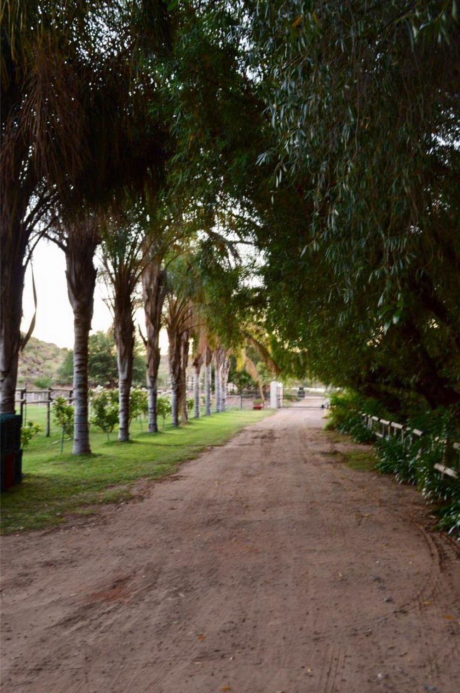 Fruit farm for sale in Keimoes - 1NA1600135