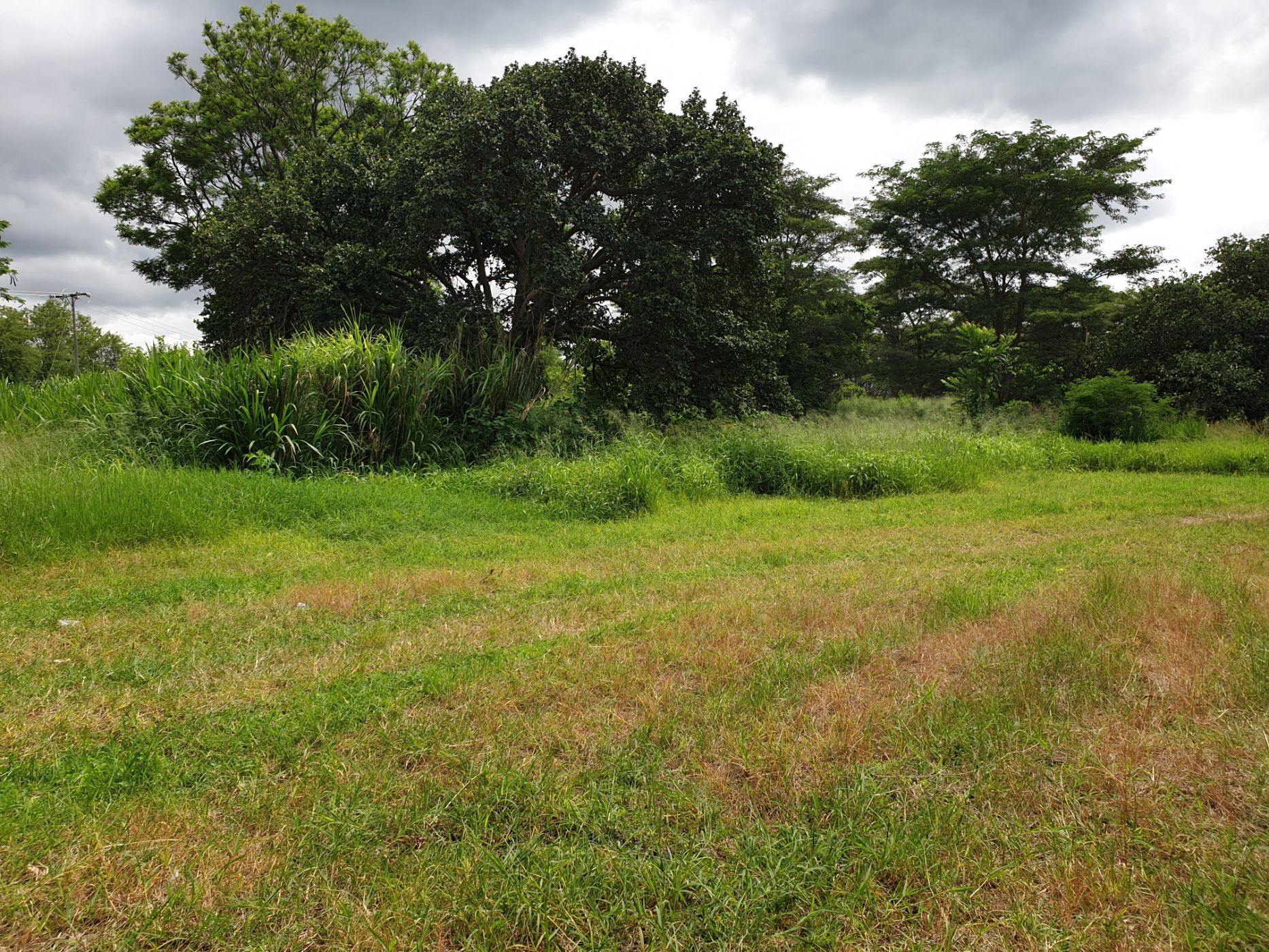 Farm vacant land for sale in Serenje, Zambia - 3ZA1600825