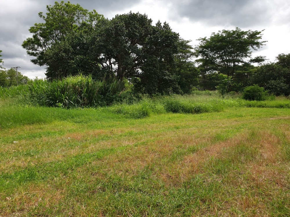 Farm vacant land for sale in Serenje, Zambia - 3ZA1600825