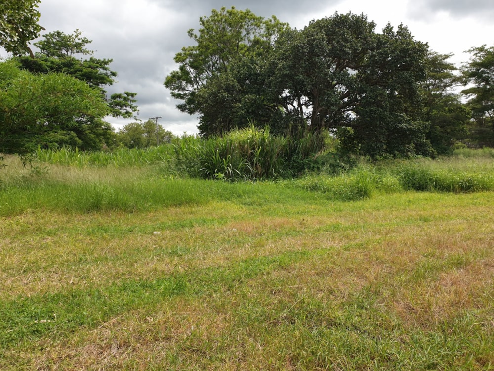Farm vacant land for sale in Serenje, Zambia - 3ZA1600825