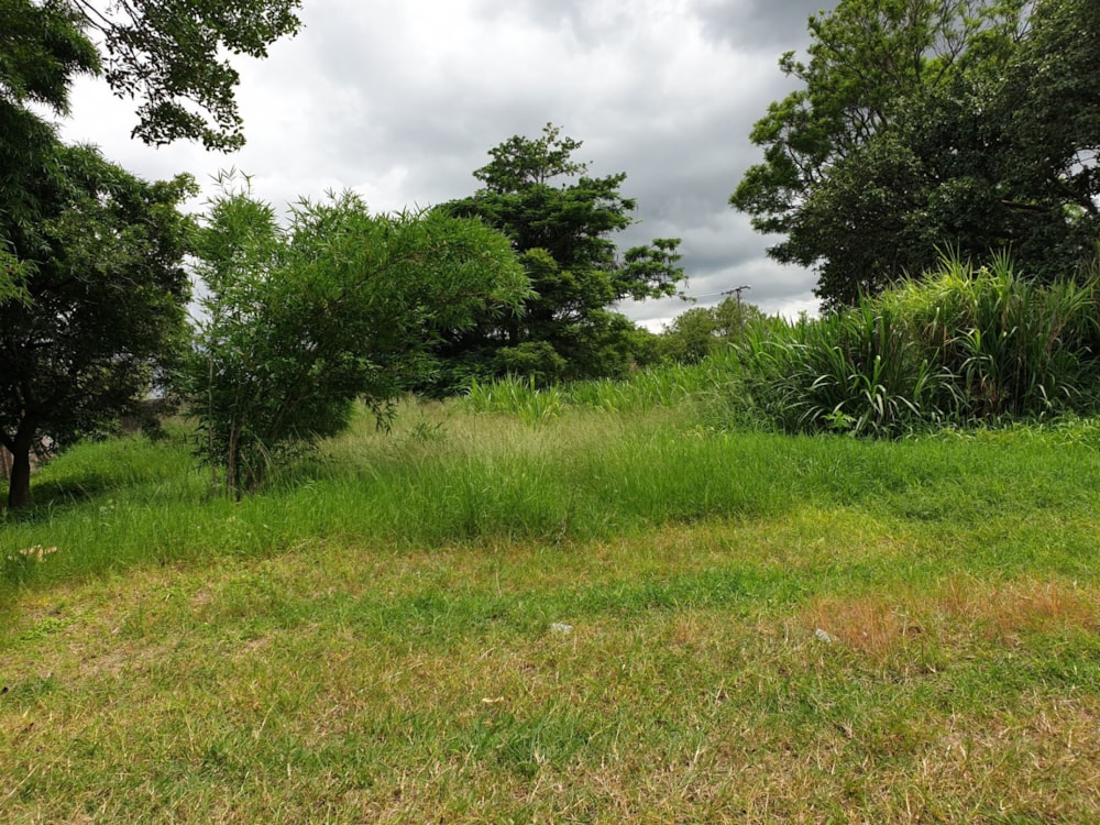 Farm vacant land for sale in Serenje, Zambia - 3ZA1600825