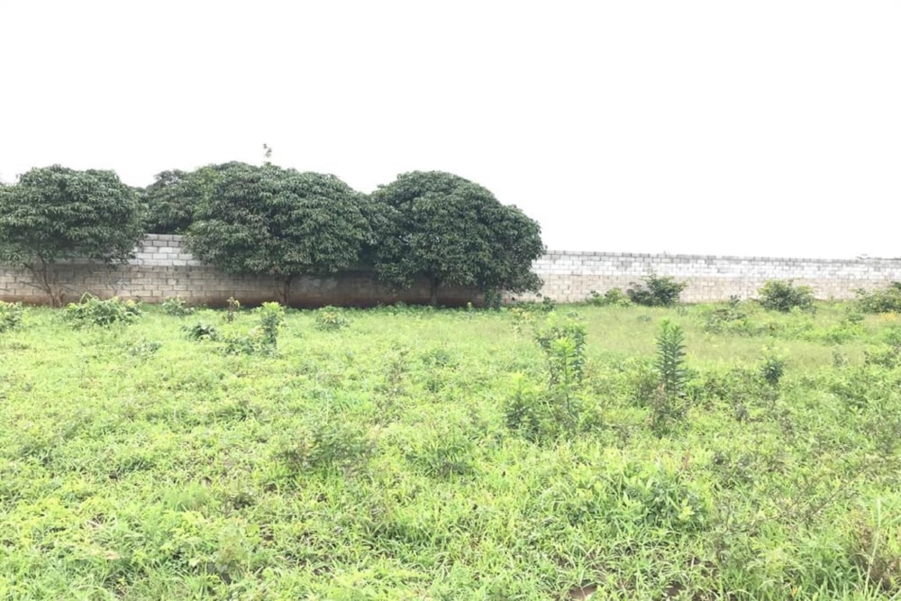 Vacant land for sale in Lusaka, Zambia - 3ZA1603536 Vacant land for sale in Lusaka, Zambia - 3ZA1603536