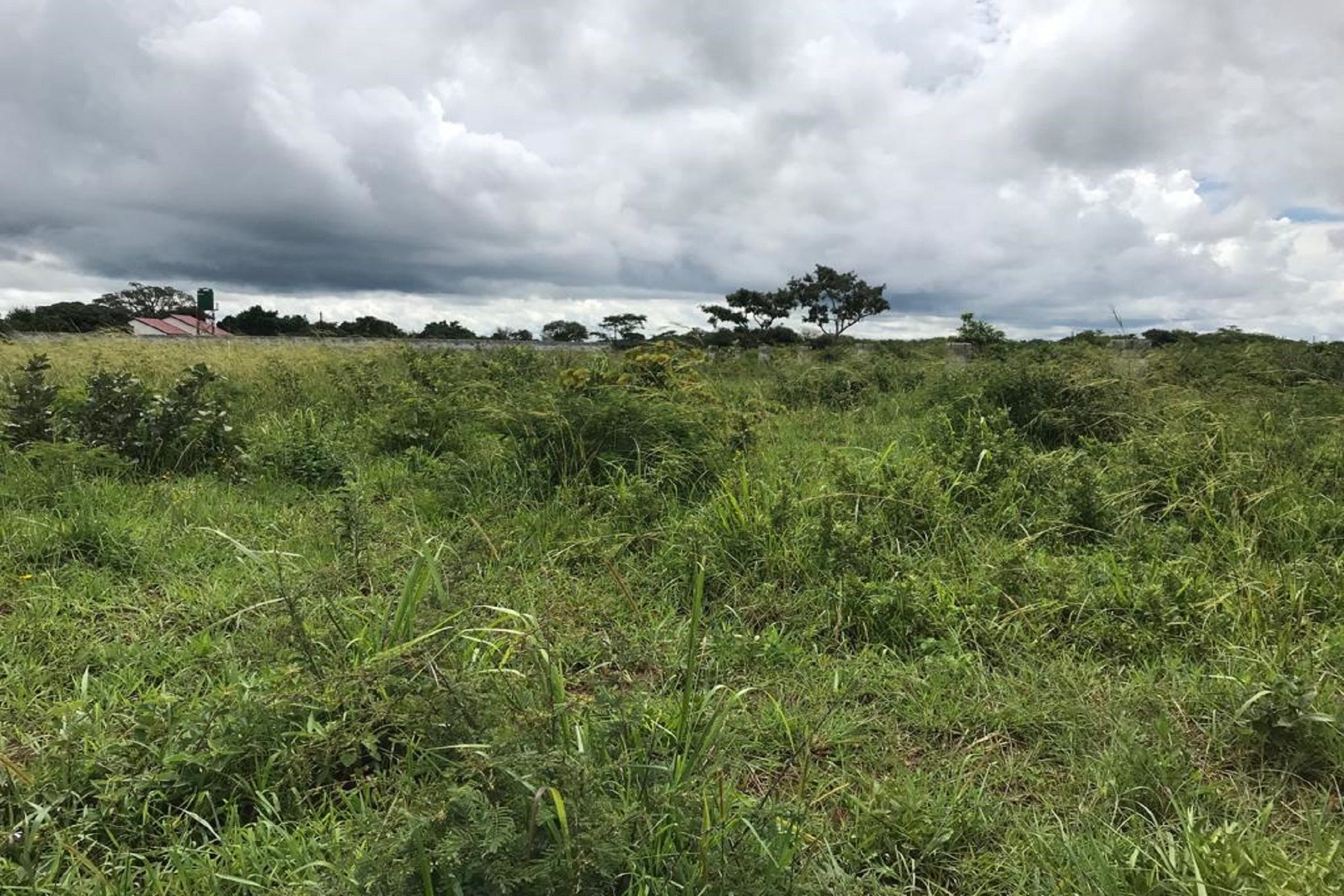 Vacant land for sale in Lusaka, Zambia - 3ZA1603536