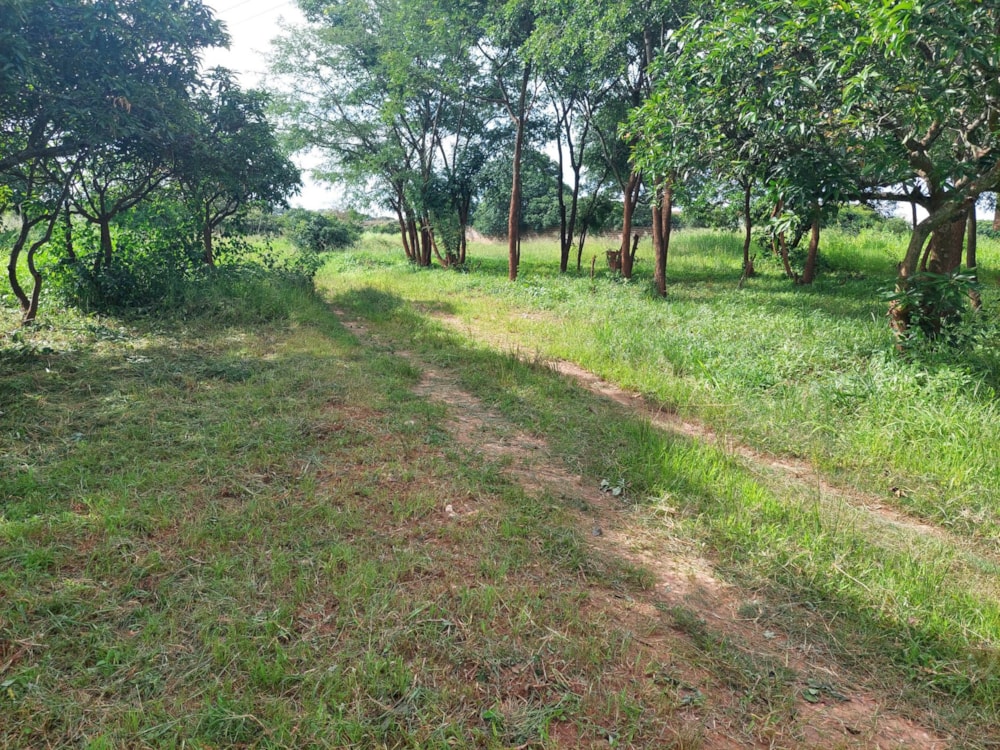 Residential vacant land for sale in Chamba Valley, Zambia - 3ZA1601381