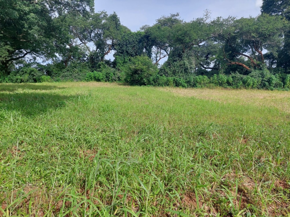 Residential vacant land for sale in Chamba Valley, Zambia - 3ZA1601381