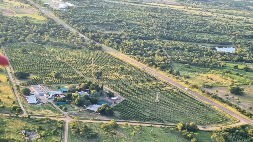 Mixed use farm for sale in Tzaneen Rural - 1TA1602005 Mixed use farm for sale in Tzaneen Rural - 1TA1602005