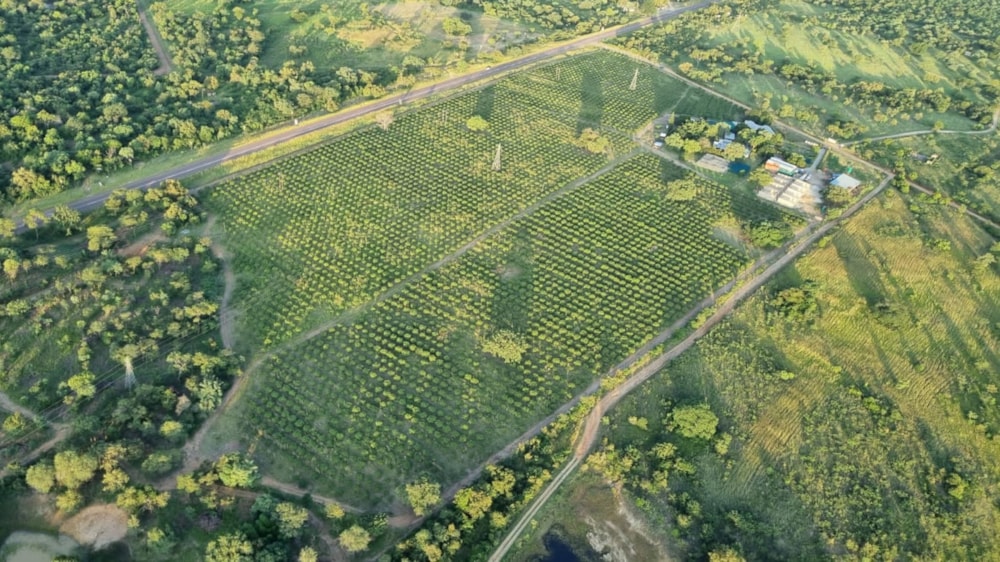 Mixed use farm for sale in Tzaneen Rural - 1TA1602005