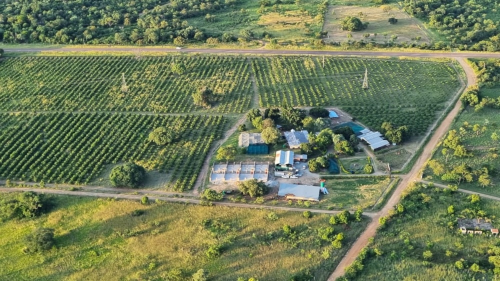 Mixed use farm for sale in Tzaneen Rural - 1TA1602005