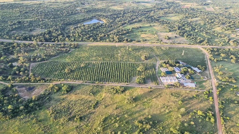 Mixed use farm for sale in Tzaneen Rural - 1TA1602005